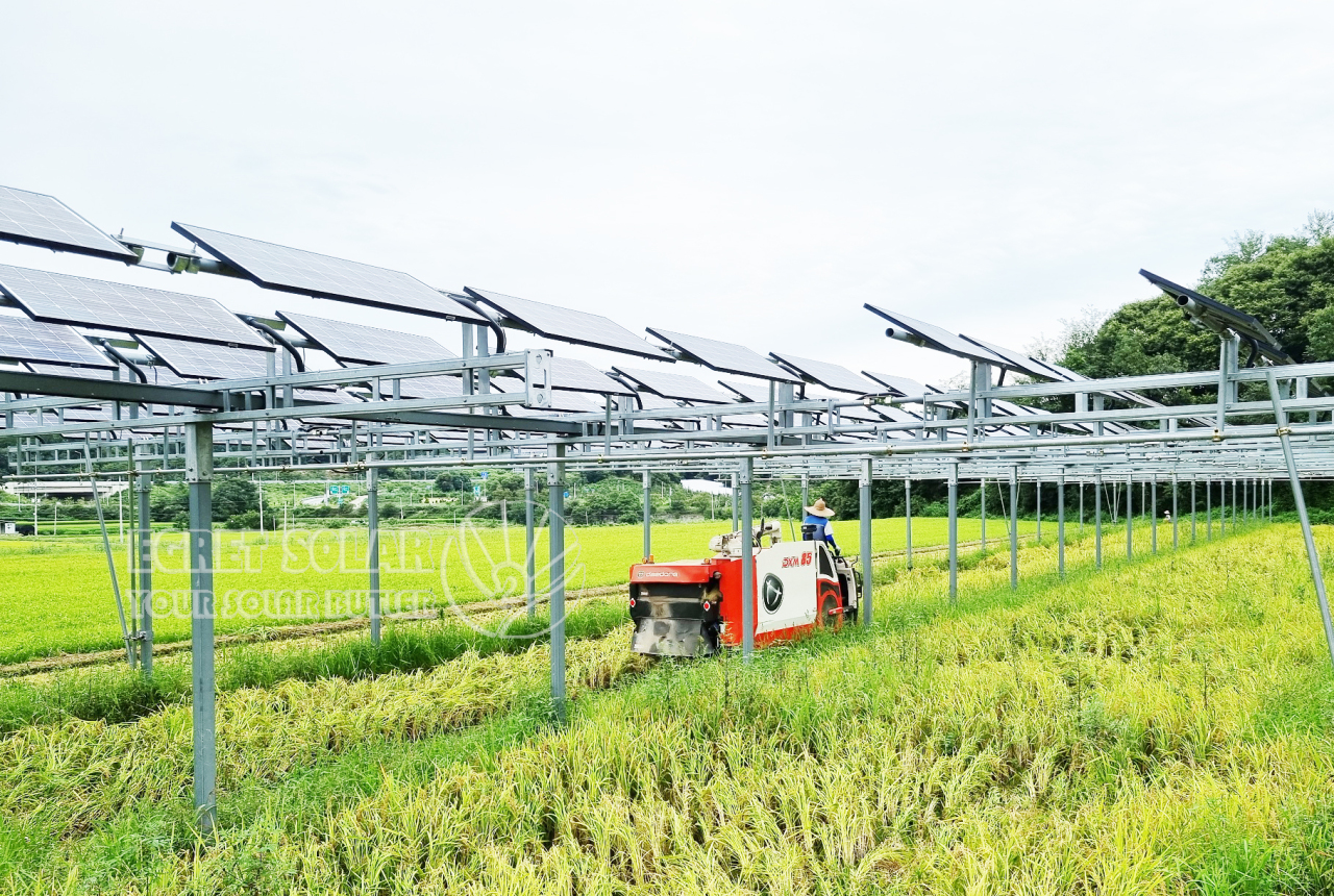 Il supporto per l’agricoltura solare in alluminio promuove lo sviluppo agricolo sostenibile