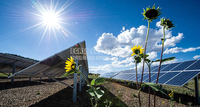 Classificazione completa delle celle solari fotovoltaiche