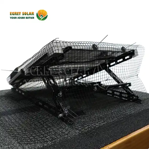 Perché le reti solari per uccelli sono la principale linea di difesa?